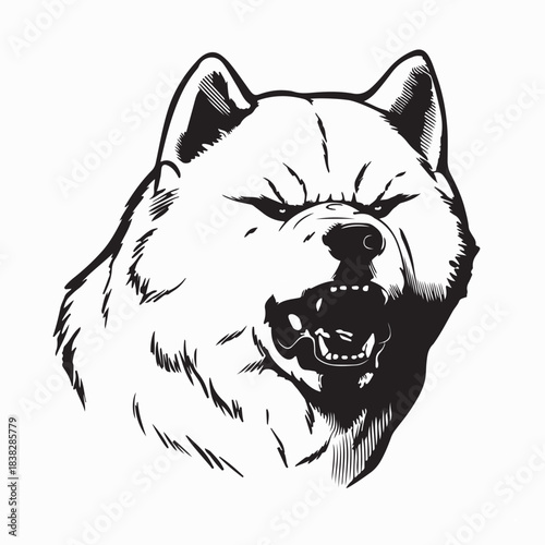 Akita Dog Face Illustration Black White Image Vector
