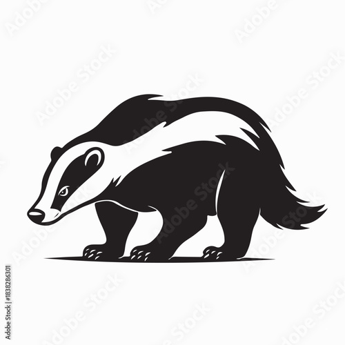 Honey Badger Walking Side View Image Vector on White Background