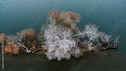 Frozen Island - Aerial View A striking aerial view of a small, isolated islet or sandbar in dark water. The trees in the center are covered in heavy white hoarfrost or snow.