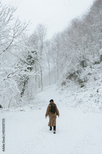 A solitary figure, seen from behind wearing a long brown coat and a backpack, walks along a deep snow-covered path winding through a dense winter forest. The scene is dominated by white