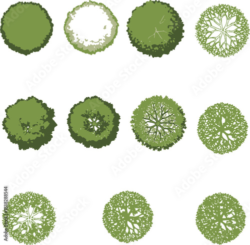 CAD project trees in top view, editable vector on white background, landscape design and architectural project.