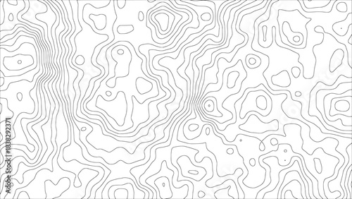 A modern minimal vector background with abstract black flowing curves arranged as topographic contour lines on a white surface — for creative decoration, packaging, and wallpaper designs.