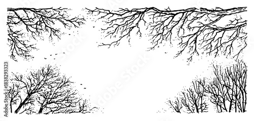 Hand drawn winter tree branches frame with flying birds illustrating bare treetops and copy space for text with sketch and ink style