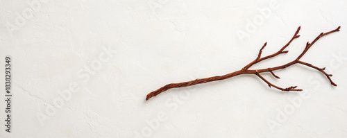 Minimal christmas concept with dry branch on white background creating calm winter atmosphere