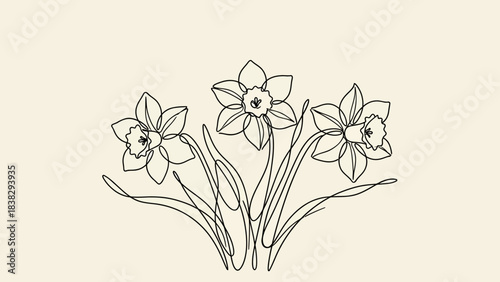 Minimalist line drawing of daffodils with swirling leaves, elegant floral motif, stylized botanical illustration, spring flower design, continuous contour art, decorative nature symbol, clean vector 