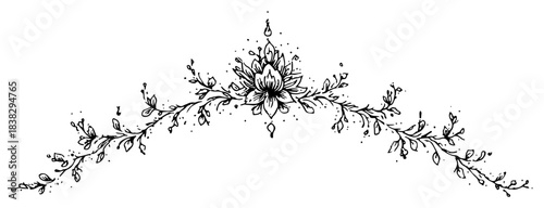 Elegant floral divider with blooming lotus flower and vines in hand drawn botanical sketch style