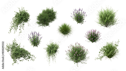 Collection of diverse green garden plants and flowering bushes