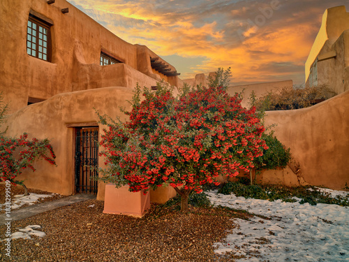 Winter Sunset Light on Snowy Courtyard with Red Berries