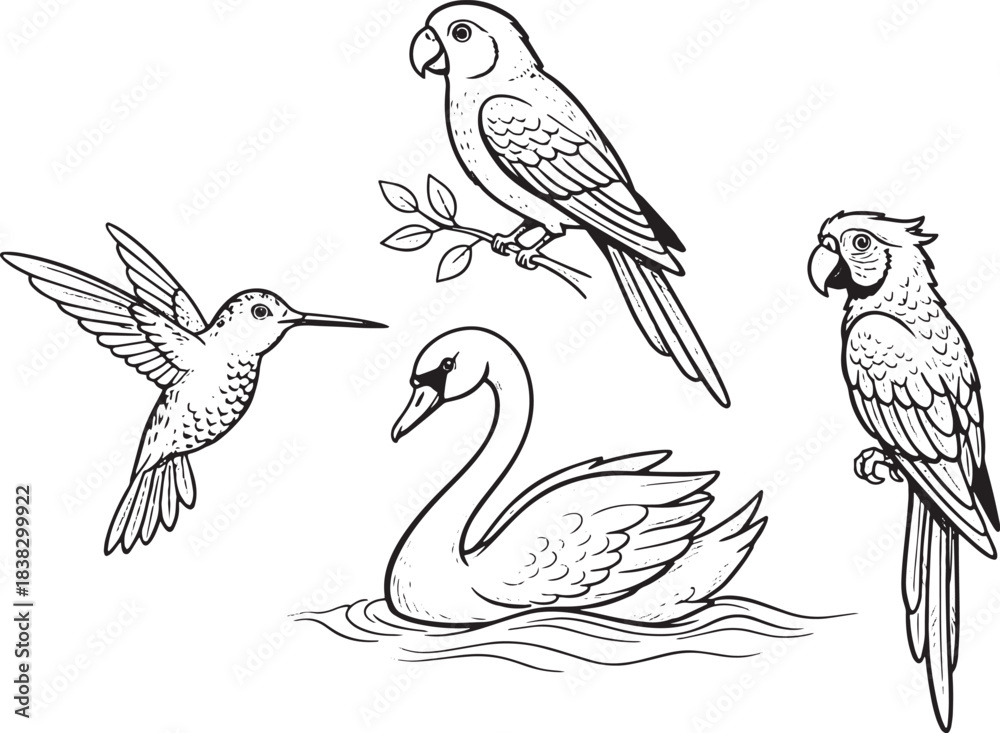 Fototapeta premium Exotic Bird Collection: Hand-Drawn Parrot, Hummingbird, and Mute Swan Line Art Set
