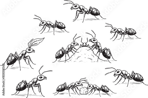 Ant Colony Activity: Hand-Drawn Sketch Set of Insects Working, Carrying, and Communicating