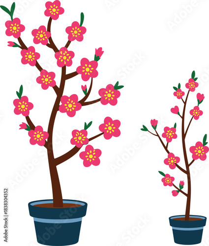 Pink flowering plant comparison set, cartoon botanical illustration, growth stages concept, garden decor clipart, nature design elements, cute potted flower drawing