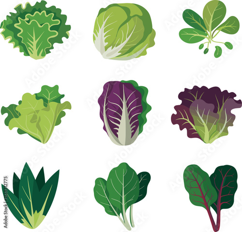 Leafy vegetable illustration set, cartoon healthy food clipart, lettuce cabbage spinach artwork, colorful produce icons, fresh greens concept, nutrition design elements