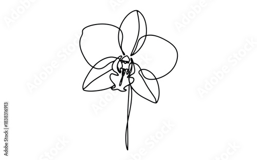 A simple continuous line art drawing of an orchid flower blossom on a white background