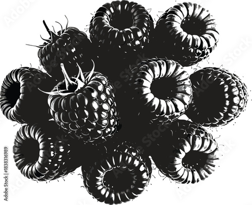 Fresh black raspberries isolated on a white background still life