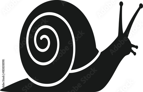 snail