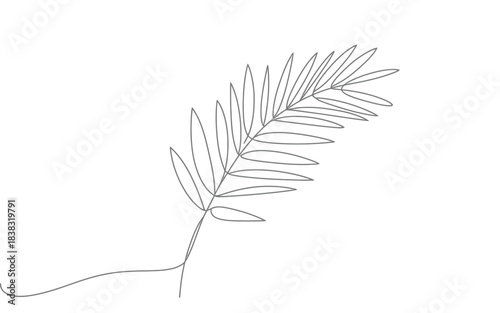 Elegant continuous line art drawing of a delicate botanical fern frond on white background