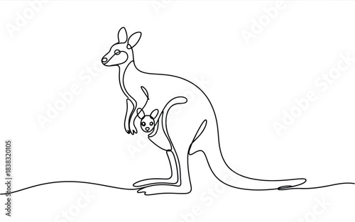 Kangaroo carrying joey in her pouch