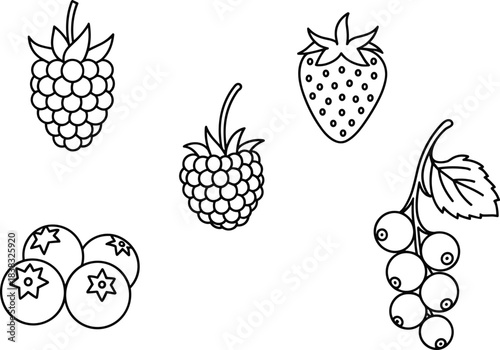 Berry fruit icon set, strawberry, raspberry, blueberry, grape outline illustration, simple line art, minimal fruit graphics, healthy food symbols3