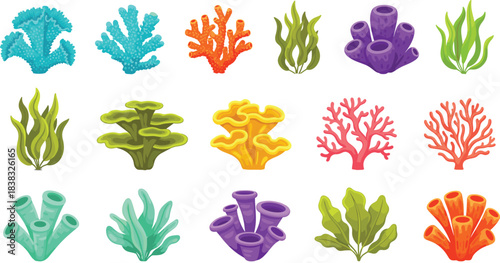 A diverse, colorful collection of realistic underwater ocean life elements including various hard coral, sponge, and seaweed types, perfect for marine and aquatic design.