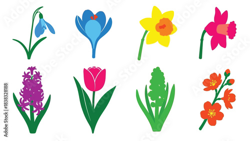 Colorful spring flowers illustration depicting various blooms and vibrant petals