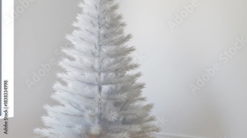 Empty Room with White Christmas Tree and Natural Light during Daylight