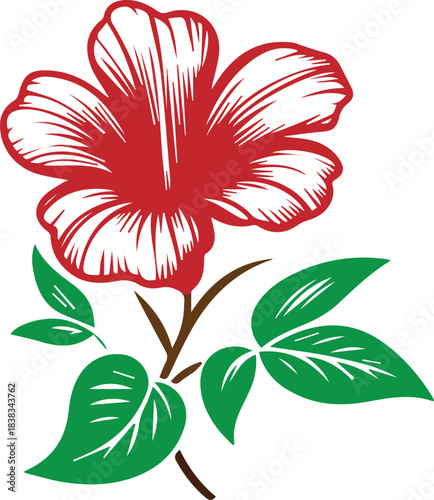 red flower isolated on white background