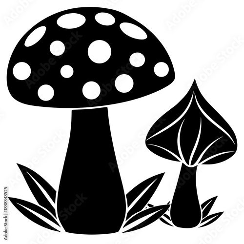 Mushroom and toadstool vector illustration