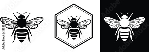 Detailed Black and White Insect Icon with Hexagon Border, Representing Pollination, Nature, Beekeeping, Honey, and Wildlife Graphics.