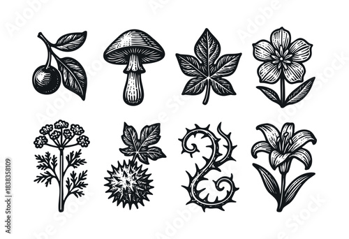20251127 1104 engraved-poisonous-plant-icons simple compose 01kb28rs7mfr7sy4f7gc1yztjh-gigapixel-low-resolution-v2-2x