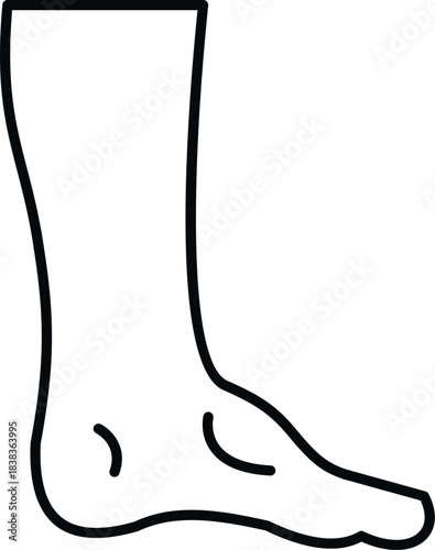 Human leg and foot outline for anatomy and health concepts