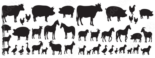 Animal silhouette vector set