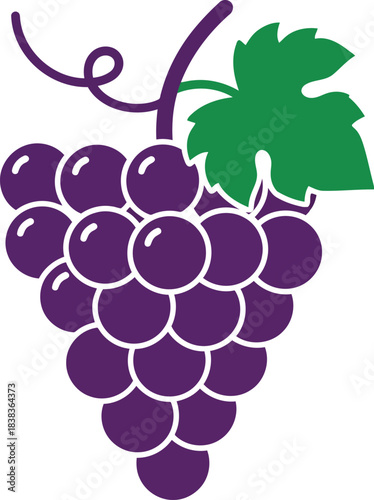 Fresh ripe purple grapes cluster with green leaf on stem healthy fruit ingredient for food and drink vector