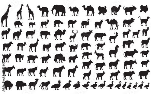 Collection of wildlife silhouettes