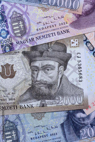 Wallpaper Mural Hungarian forint, cash, currency of Hungary, banknotes for financial transactions. Hungarian forint Torontodigital.ca