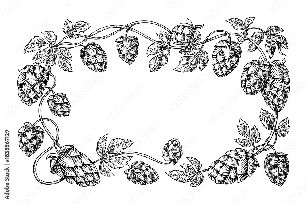 Fototapeta premium Hop plant border frame on white background