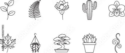 Plants leaves and flowers outline icons set. Botanical elements for nature and decor design