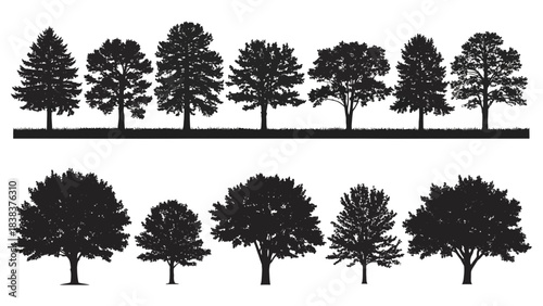 Stunning collection of diverse, detailed tree silhouettes perfect for landscape design and nature projects
