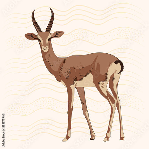 Antelope illustration