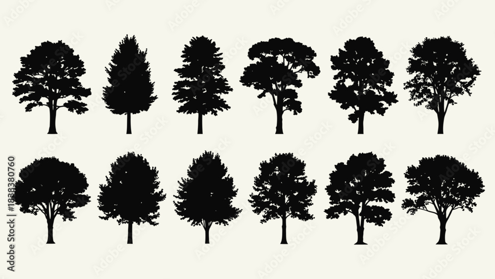 Fototapeta premium Stunning collection of diverse black tree silhouettes perfect for elegant landscape design and nature projects