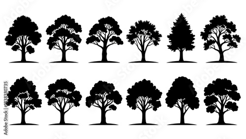 Stunning collection of diverse black tree silhouettes perfect for elegant landscape design and nature projects