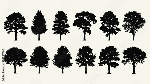 Stunning collection of diverse black tree silhouettes perfect for elegant landscape design and nature projects