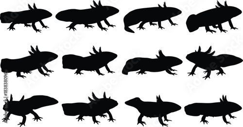 Vector Illustration with Tassels and Flounce Sleeves, Ideal for Fashion Design, Garment Manufacturing, and Apparel Template Graphics.