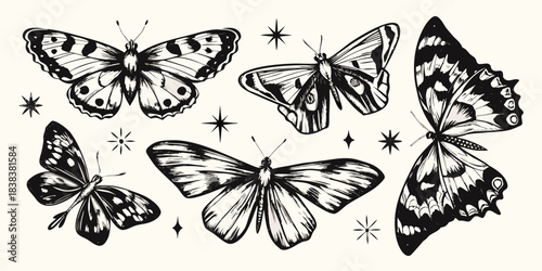 A collection of detailed black and white butterfly illustrations with star accents