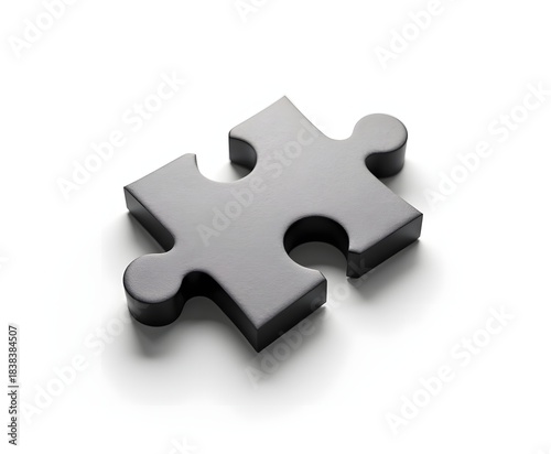 Puzzle Piece Isolated on White Background