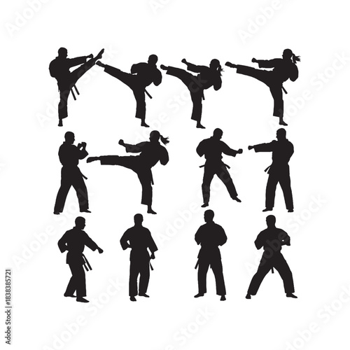 Karate Silhouettes Collection,Karate Silhouettes,Vector Karate Silhouettes,Martial Arts Karate Silhouettes,karate vector