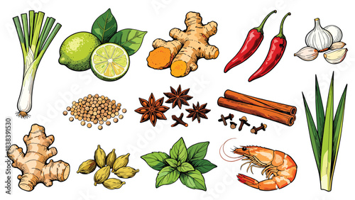 Thai cuisine ingredients. Vector illustration of spices, herbs, and food on white background. Ginger, chili peppers, lemongrass, lime, garlic,