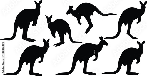 Kangaroo icon set, black silhouette Australian wildlife in various dynamic poses and movements, cad drawing flat vector illustration