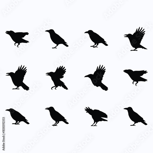 Collection of black silhouettes of crows in various poses and movements