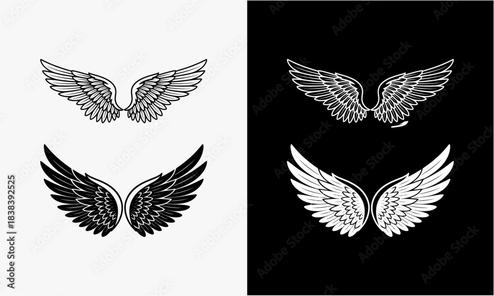 Fototapeta premium Elegant monochrome wing illustration for design