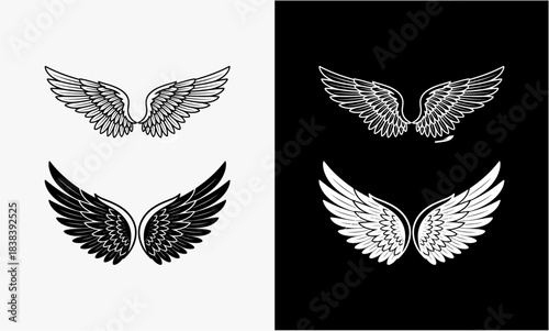 Elegant monochrome wing illustration for design